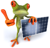 Frosch-PV-Fotolia_29259009_XS